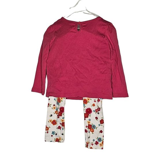 Gymboree Pumpkin Pals Outfit Set Top Skirted Leggings 4T Applique - Picture 4 of 12